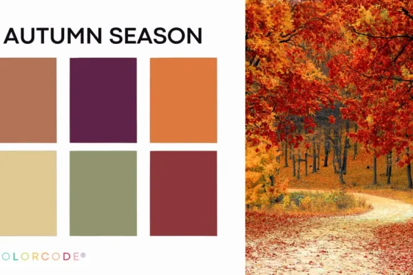 COLORCODE-autumn-seasonal-color-palette-1024x576